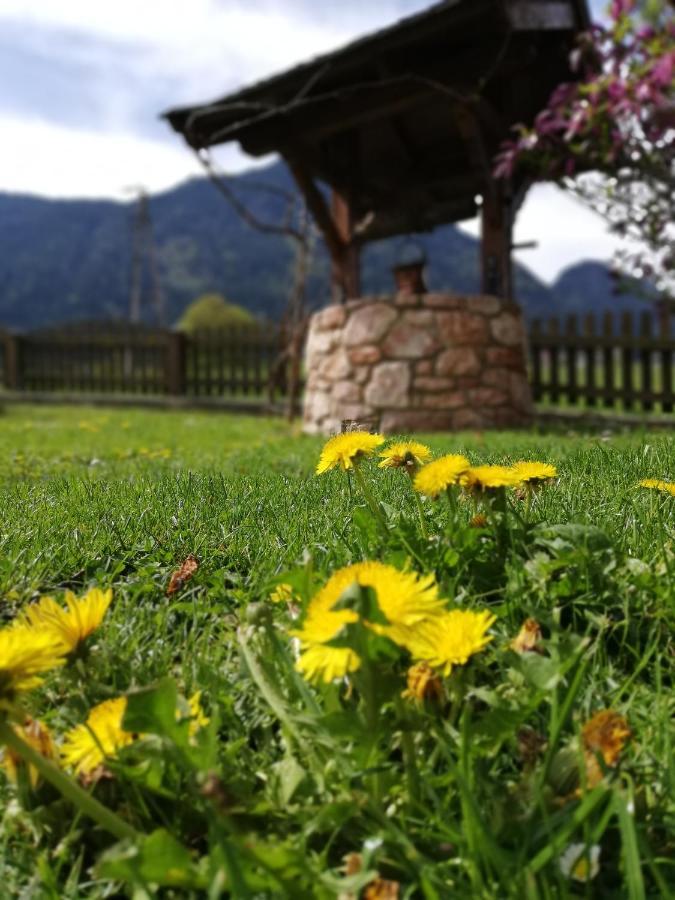 Gastehaus Midi Hotell Reith im Alpbachtal Eksteriør bilde